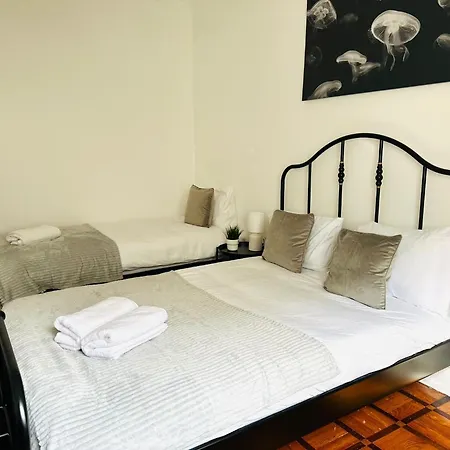 Albergue New Flat Da Horta, Location